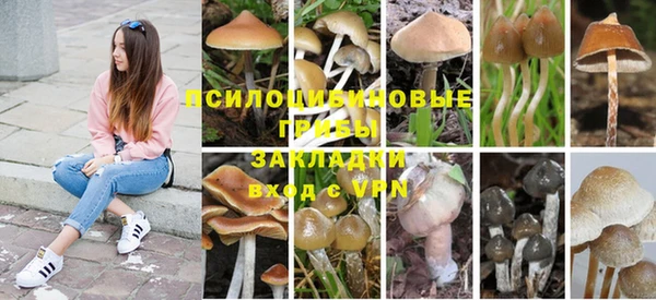 COCAINE Нефтекумск